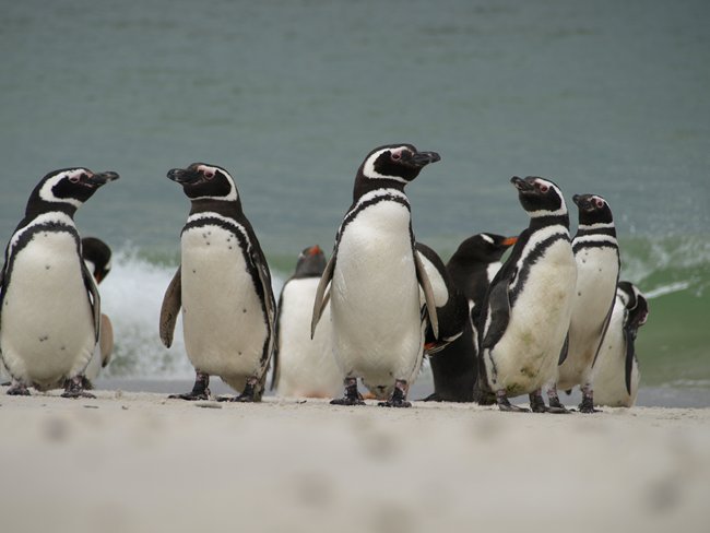 ../../Pictures/241209/100 Magellan.JPG